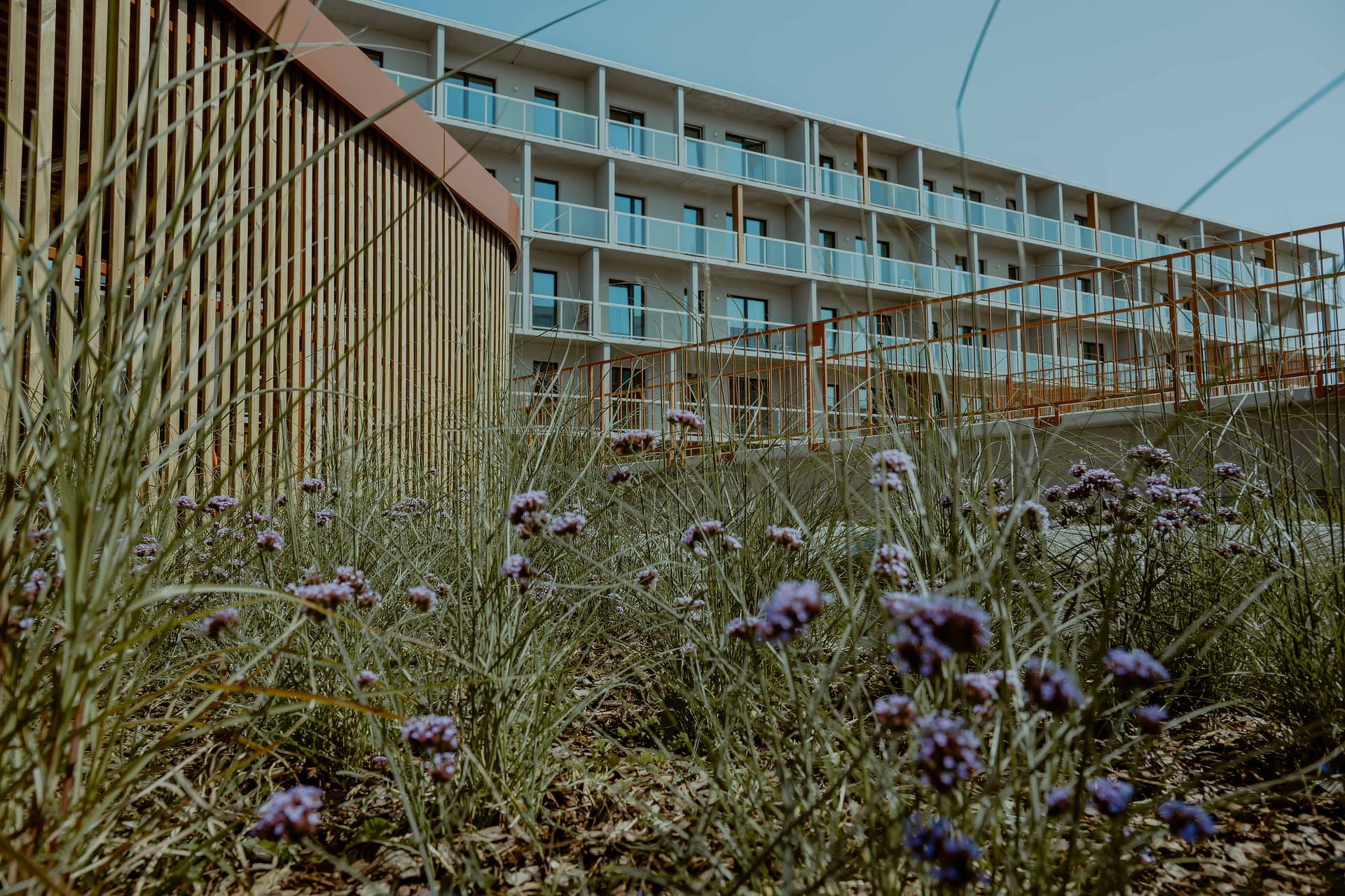 Novaforma, Sierpień 2025