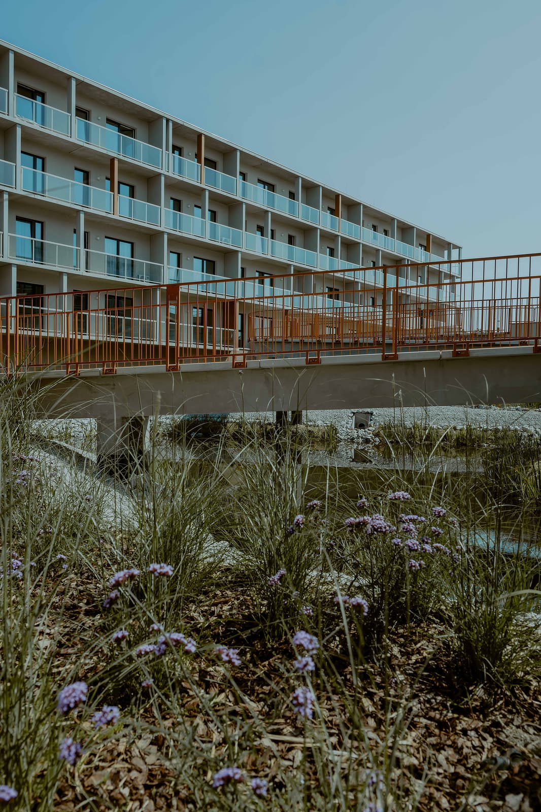 Novaforma, Sierpień 2025